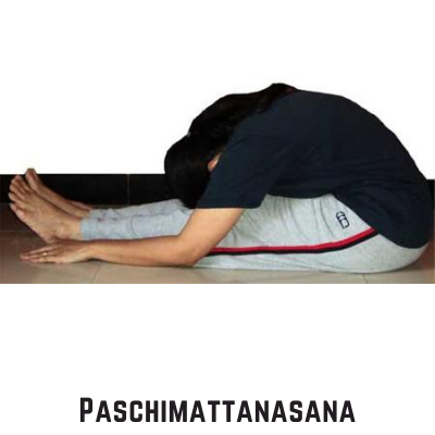 Paschimottanasana posture or position in yoga